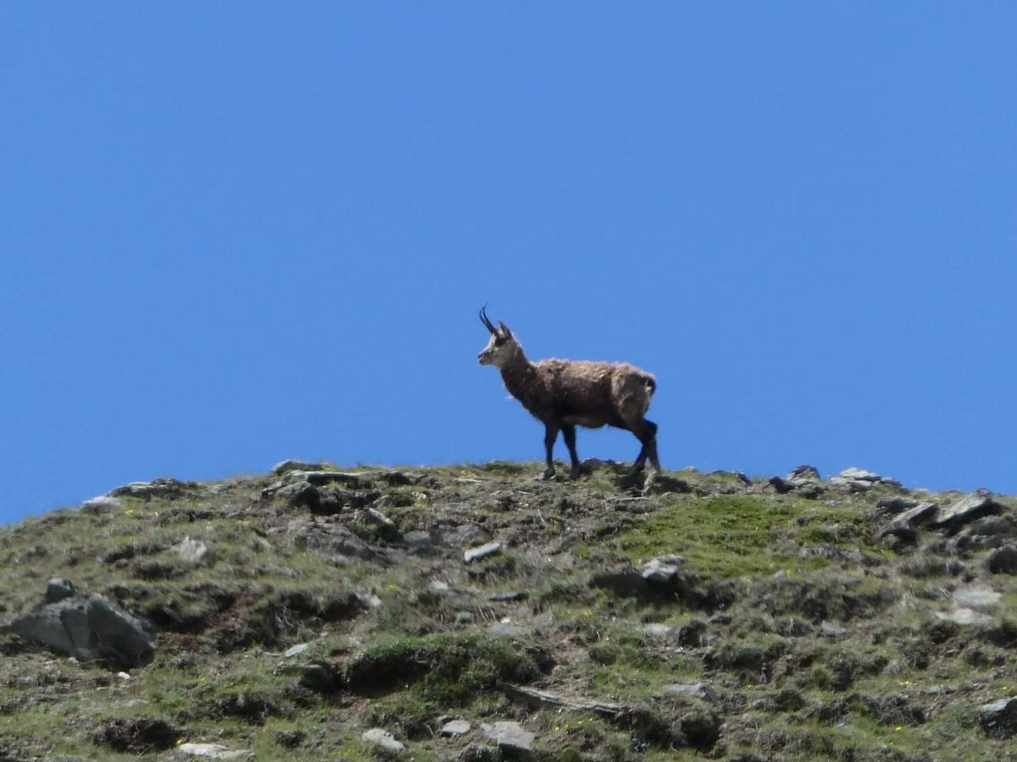 Aosta Maisongnemaz المظهر الخارجي الصورة